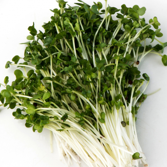 Broccoli microgreens